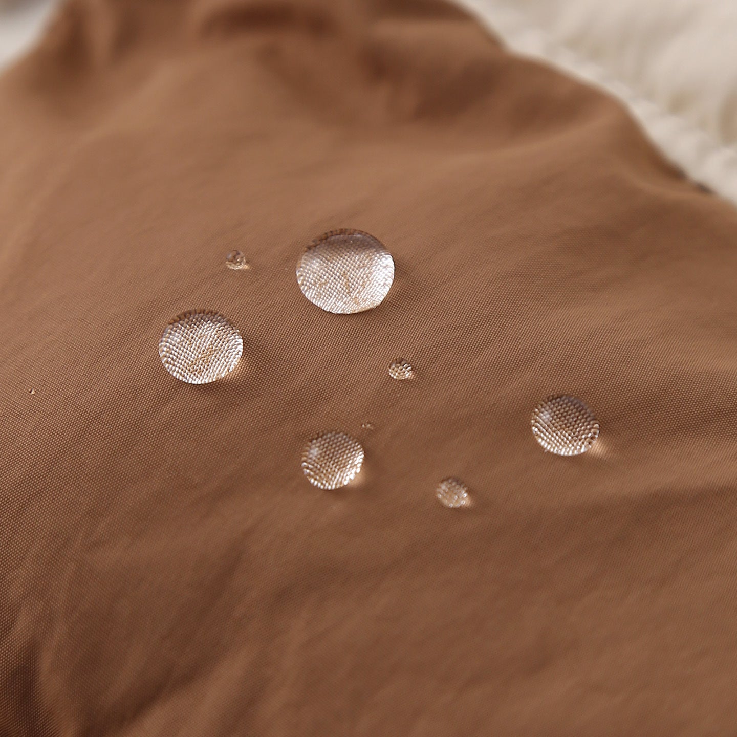 7dd2032f-911b-4d81-808a-fa883b2e32f3